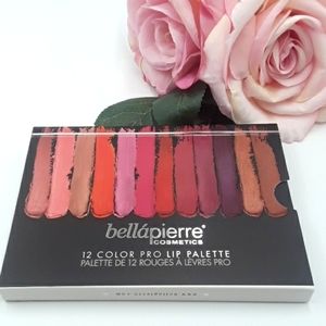 Bella'pierre  12 Color Pro Lip Palette.